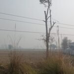 बिजली तारों, खंभों और ट्रांसफार्मरों से सुरक्षित दूरी पर करें होलिका दहन